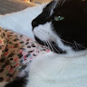 Meet your Posher, Kathryn